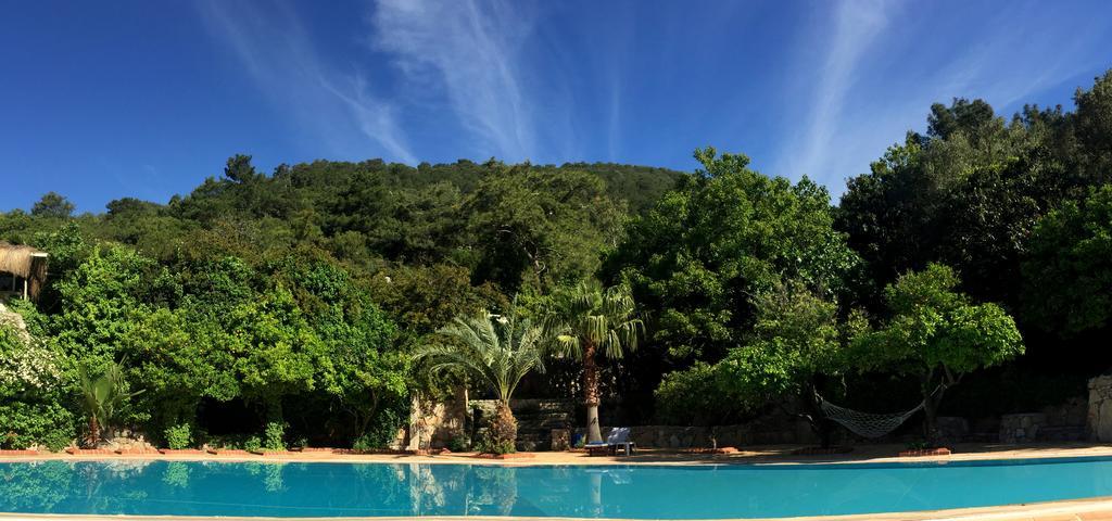 Paradise Garden Hotel Oludeniz Exteriér fotografie