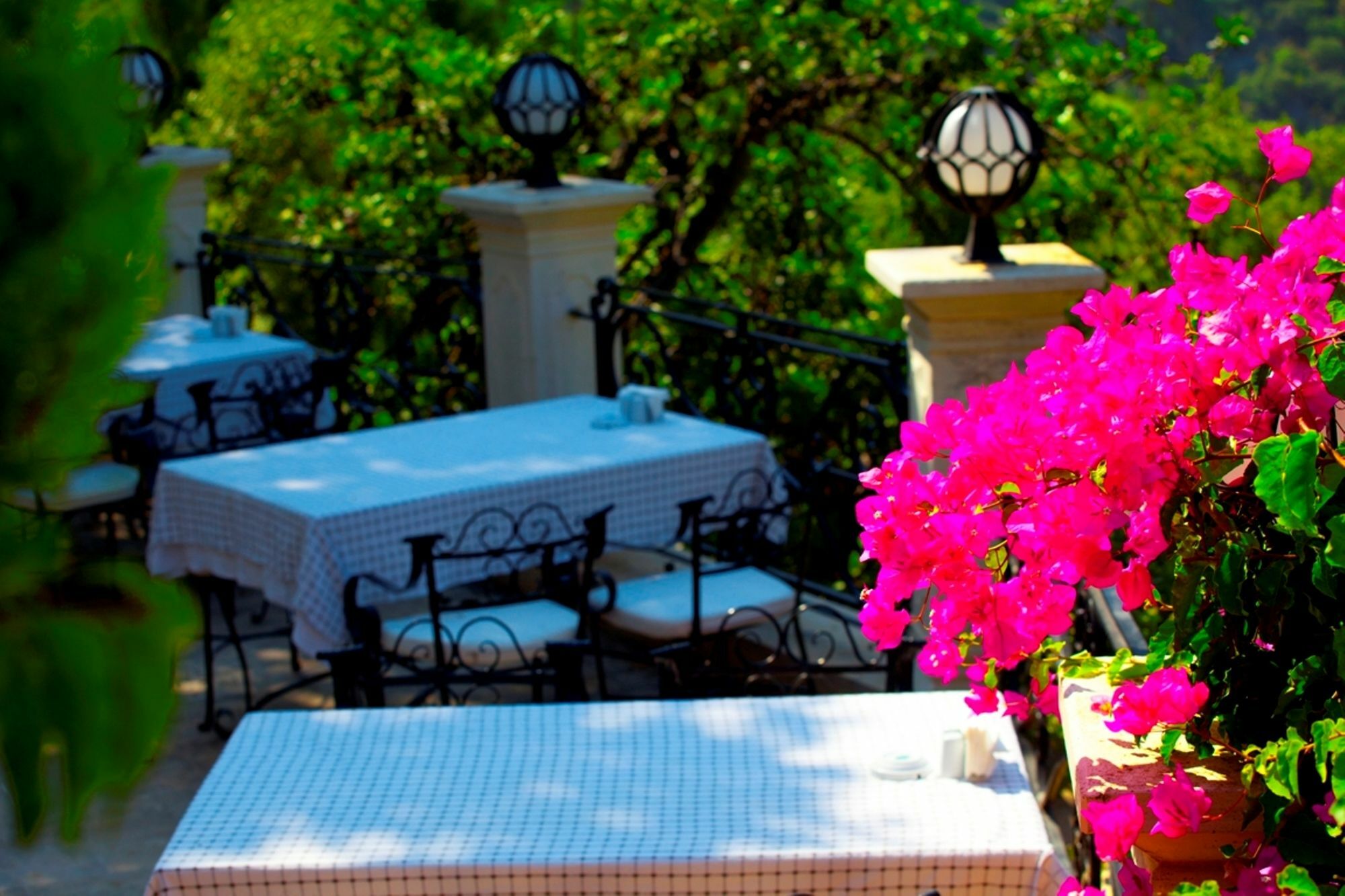 Paradise Garden Hotel Oludeniz Exteriér fotografie